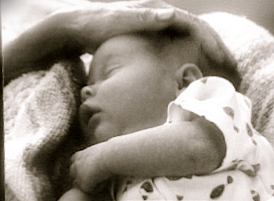 the Circle of&nbsp;Life